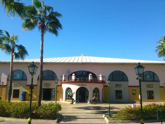 la Scuola d'Arte Equestre della Costa del Sol