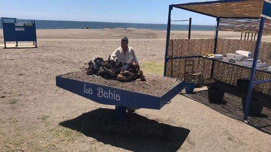 Freiduria Marisqueria La Bahia