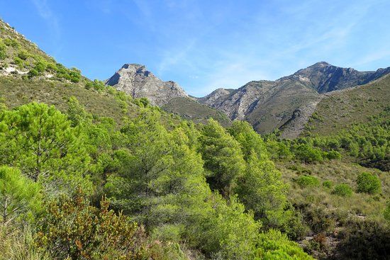 la Fuente del Esparto