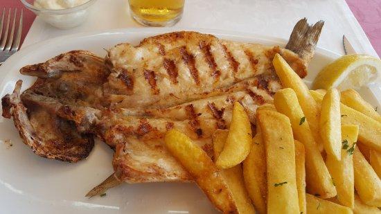 Griffin's