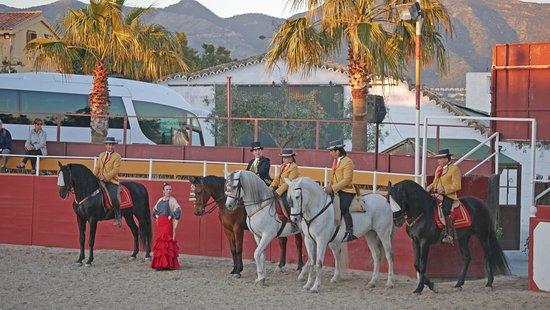 El Cartujano