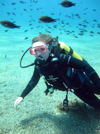 Simply Diving