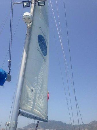 Discover Sailing