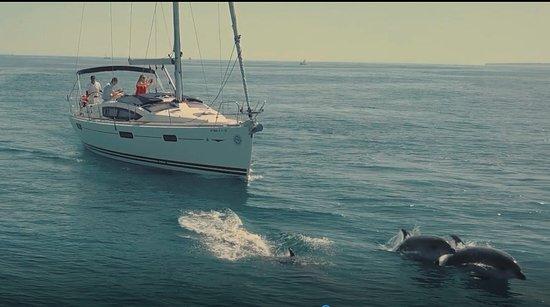 Barco en Alquiler