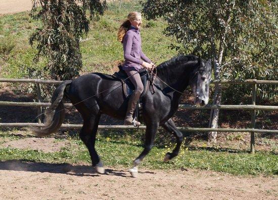 Live and Breathe Horses - Day Class