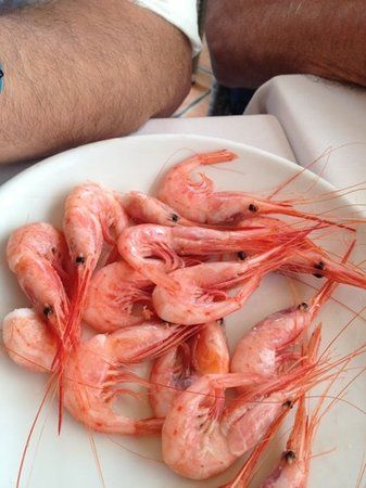 La Coquina
