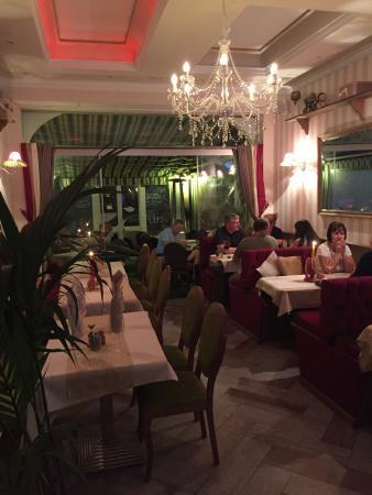 The Ivy