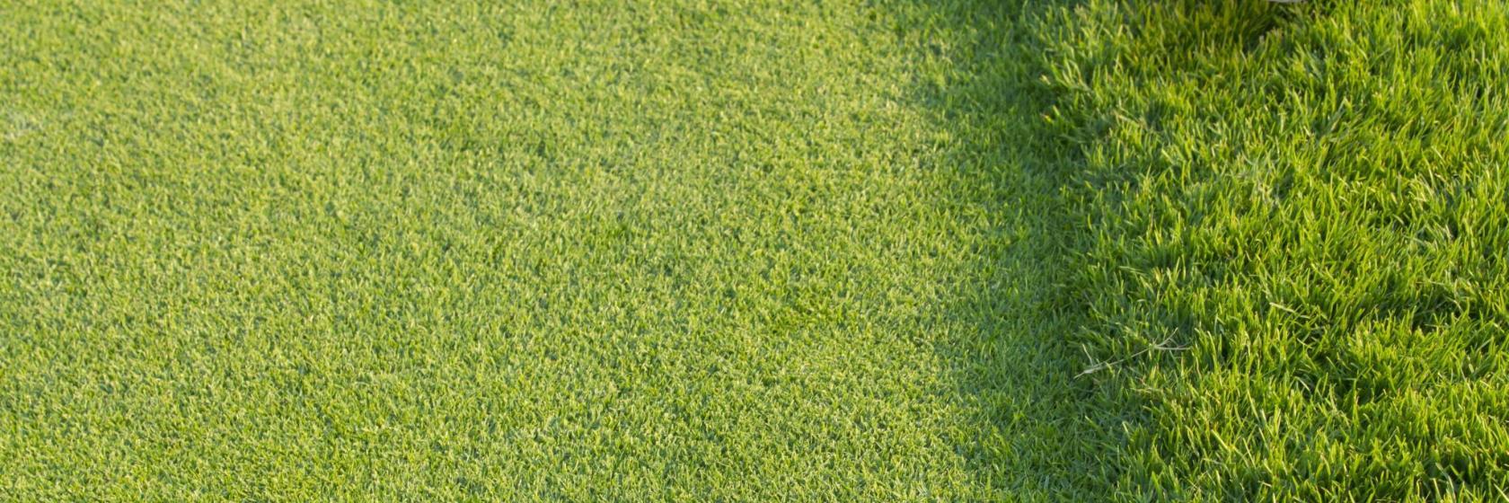 La Cala Golf
