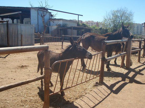el Santuario de Burros de Nerja
